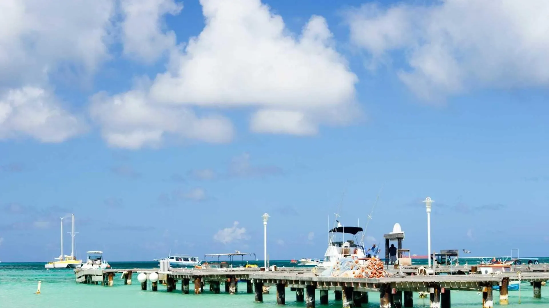 Pc406 - Pool View - 1 Bedroom Perfect For A Couple - Close To Palm Beach - 1Br 0*,
